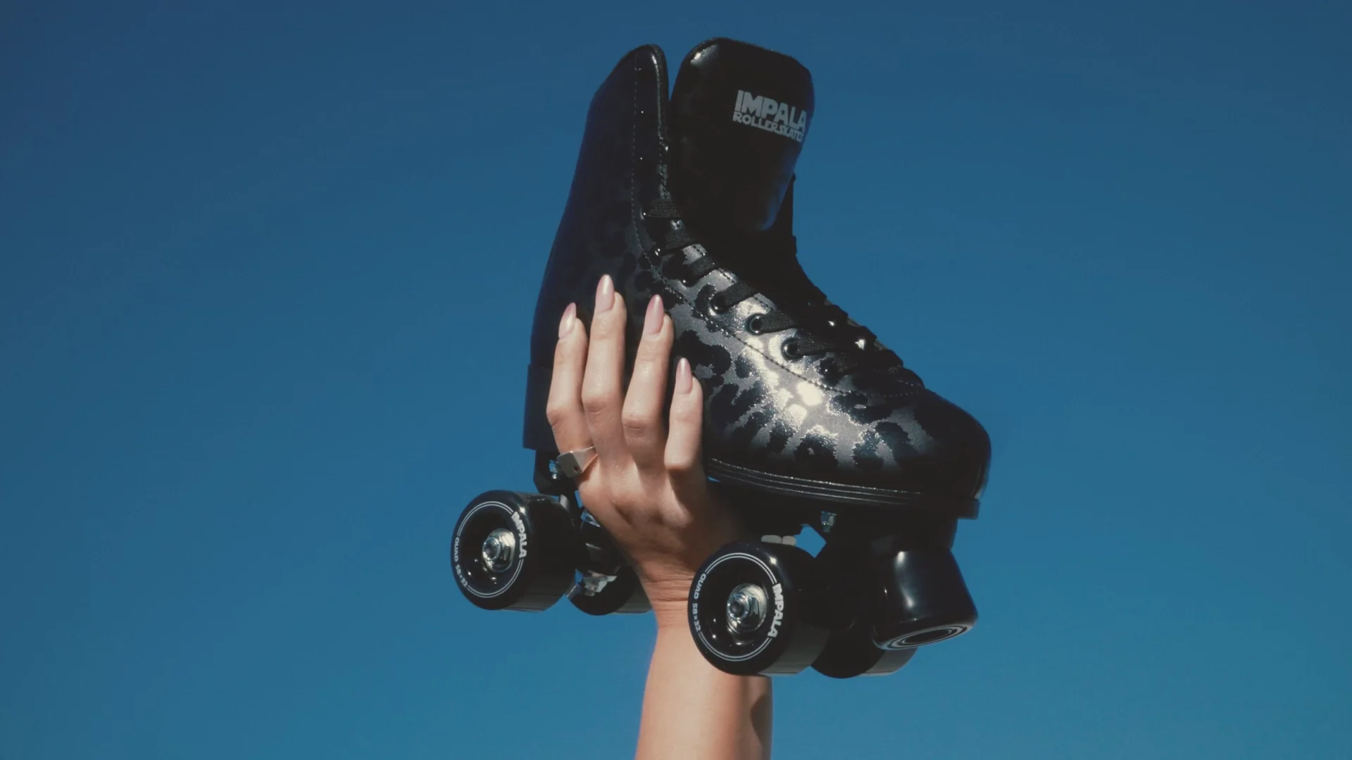 Roll Into Your Next Adventure